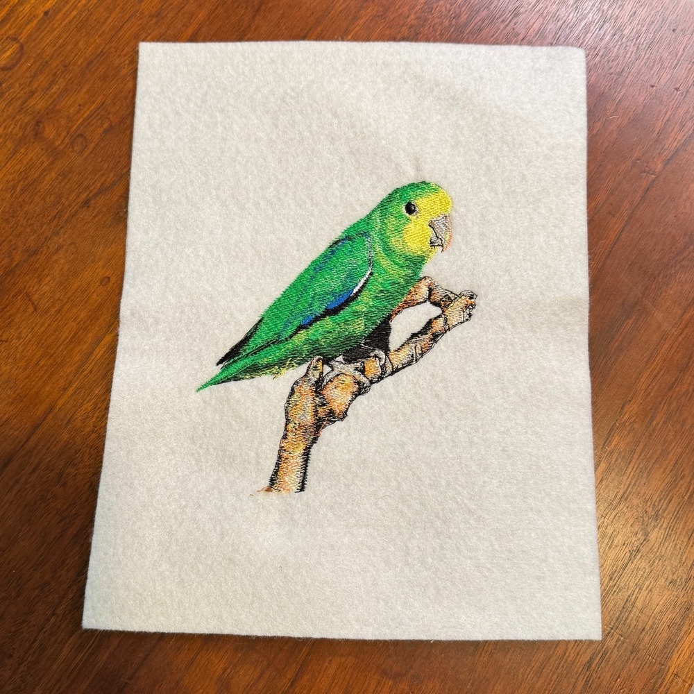 VTG Green Parrot Bird Wildlife Portrait Hand-Embroidered Applique Sew On